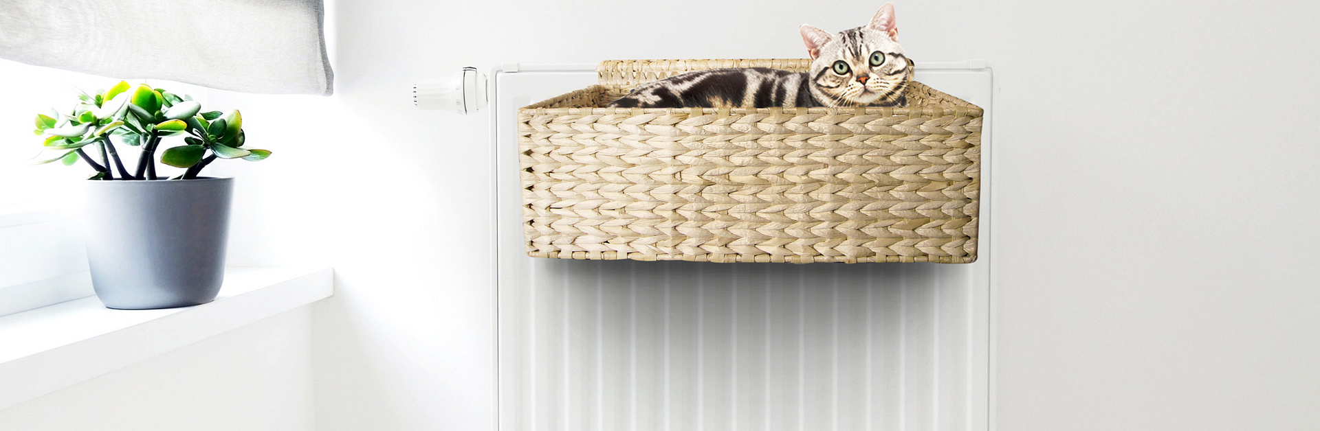Kattenhangmat radiatorhangmat kopen? | Krabpaal.nl