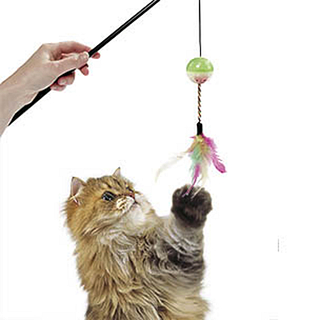 Kattenspeeltje Hengel bal met veren