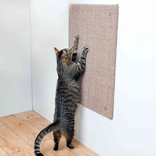 krabplank aan de muur en kat die eraan krabt