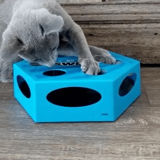 kat speelt met Kattenspeeltje Swirly Blauw