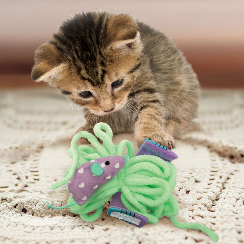 kat speelt met kattenspeeltje in de vorm van wol