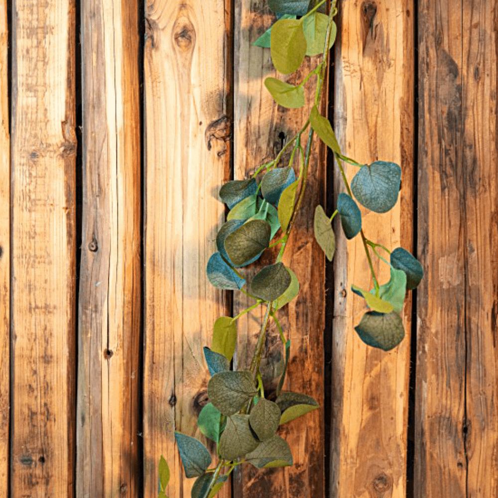 tak met eucalyptus bladeren eraan hangt voor een houten schutting