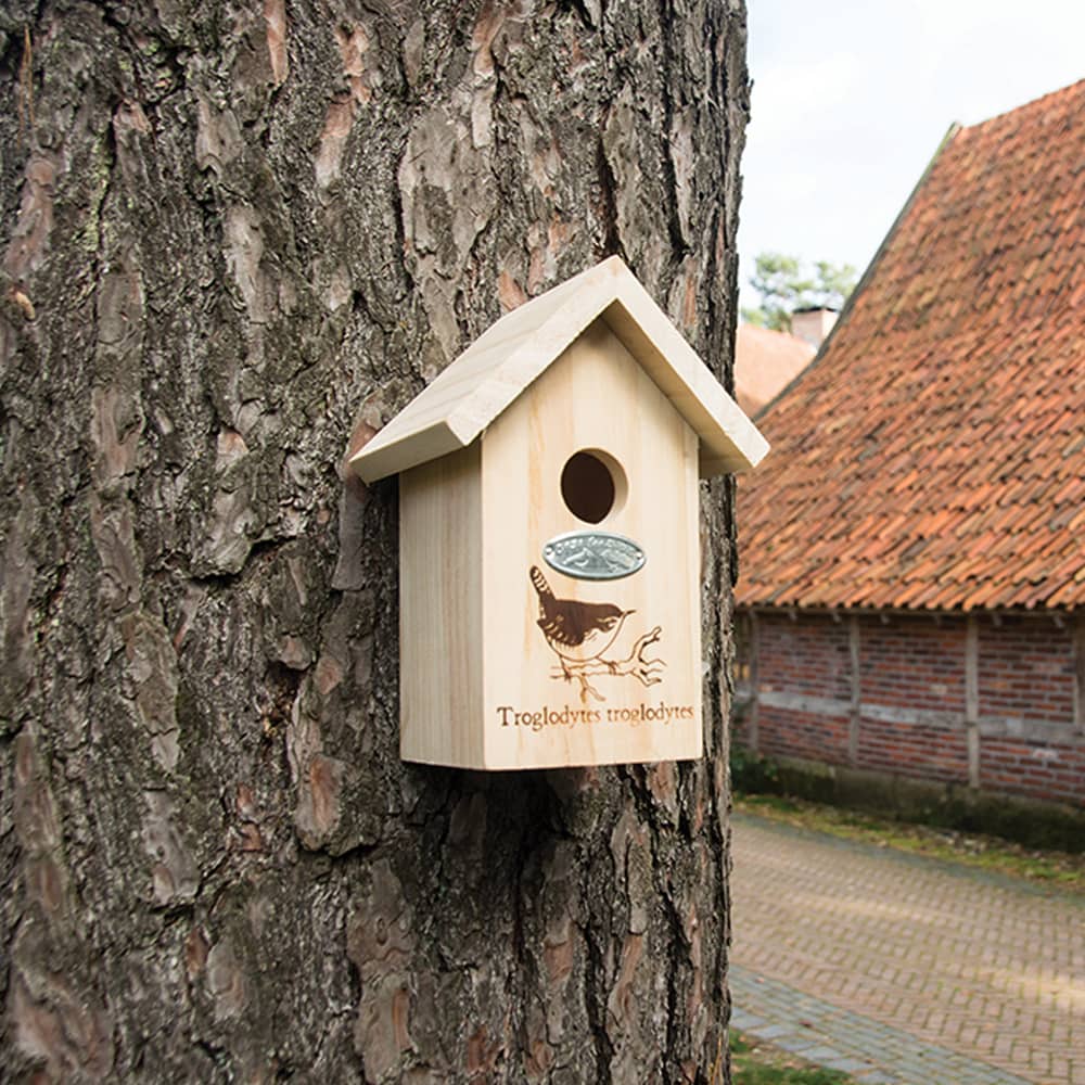 klein vogel huisje aan boom