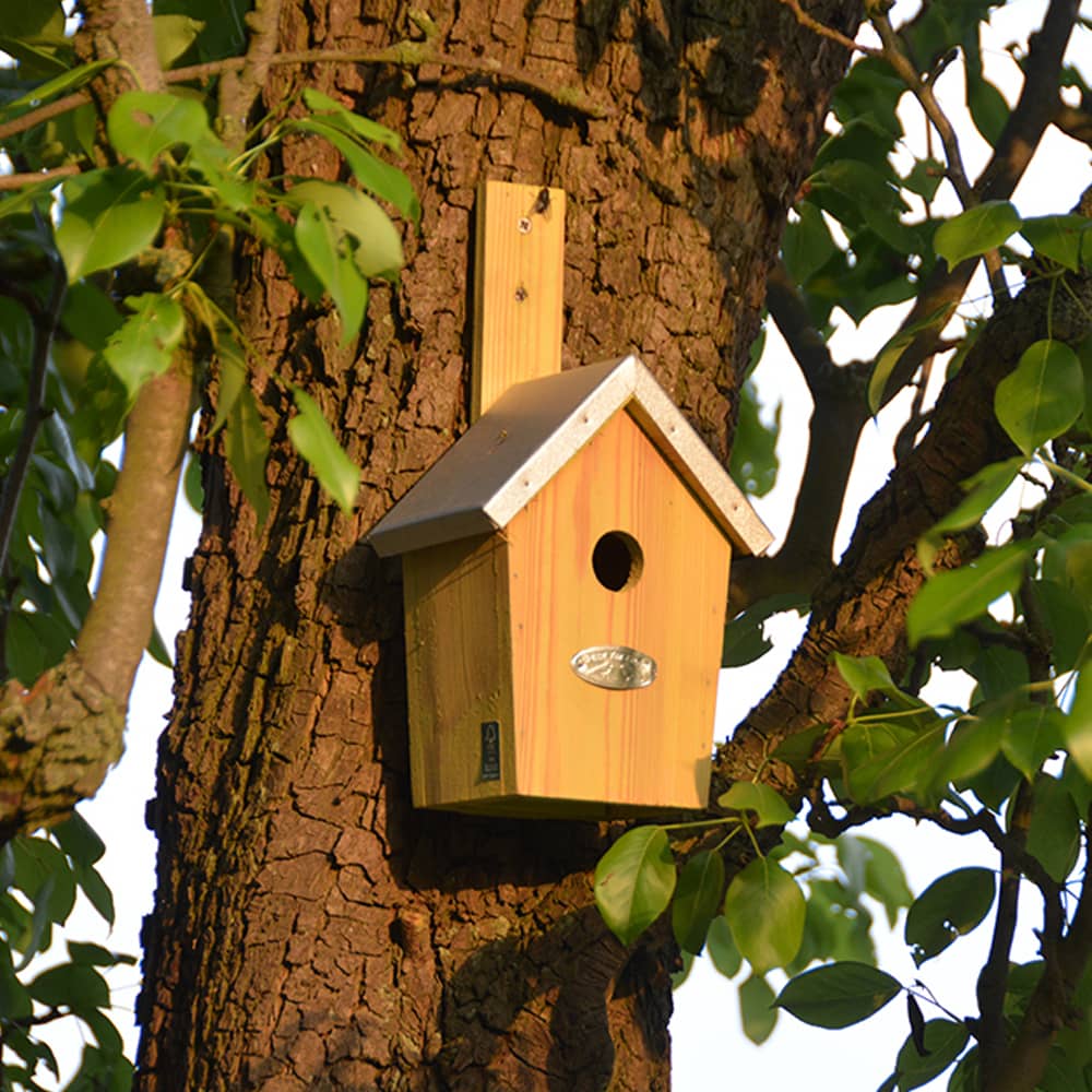 klein vogelhuis aan boom
