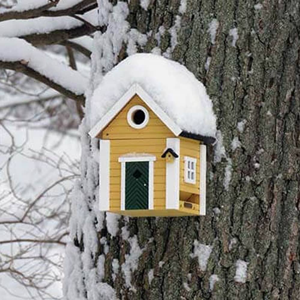Gele Villan vogelkast aan boom in de sneeuw
