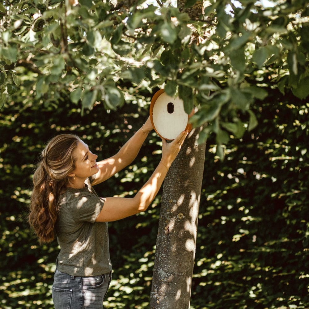vrouw hangt vogel huis met ovalen opening van bruin kunststof in boom