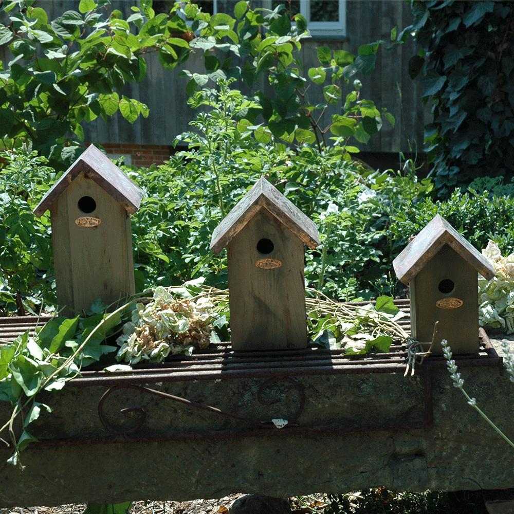 drie vogelhuisjes met koperen dakje en verschillende afmetingen in tuin
