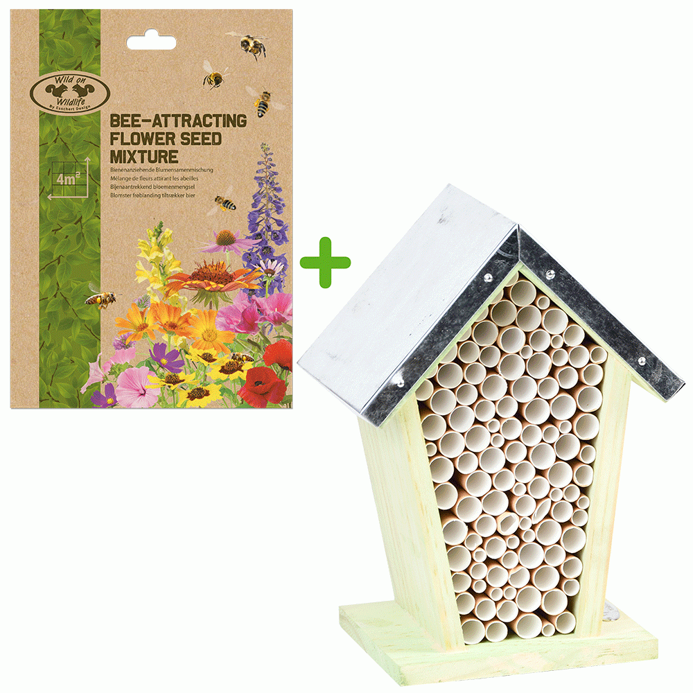 klein bijenkastje met zinken dak en bijenbloemen zaadmengsel