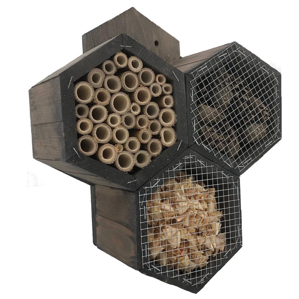 huis voor insecten in vorm van honingraat voorkant