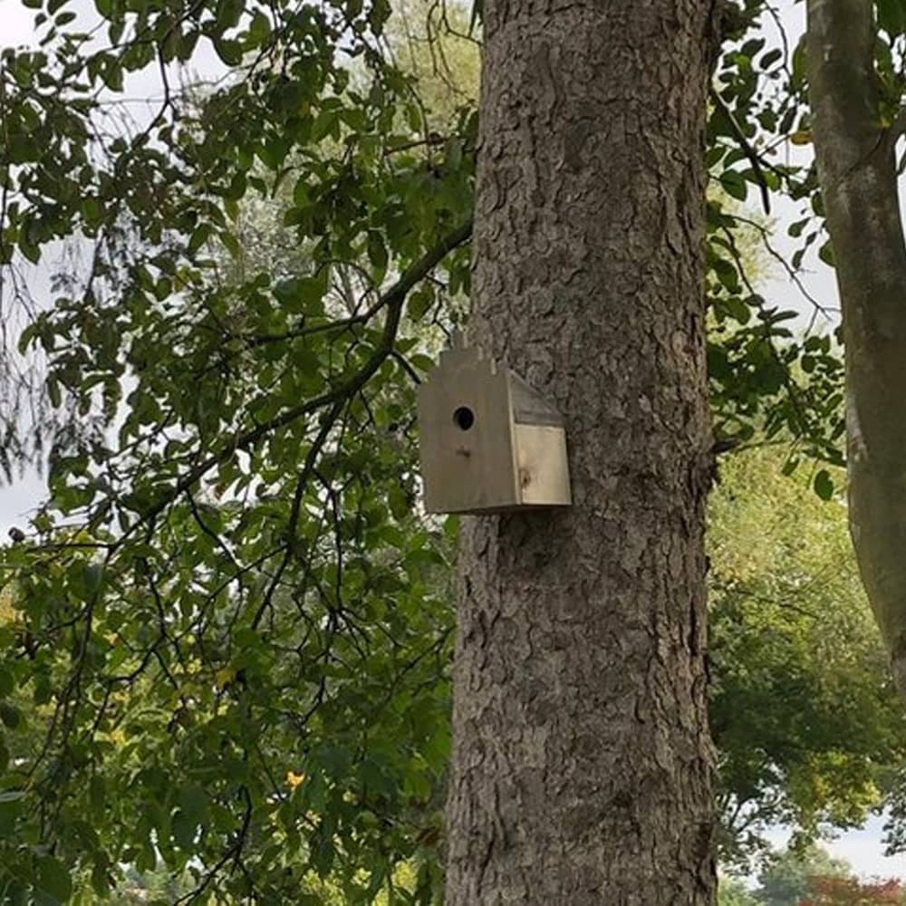 boom met daaraan een huisje voor vogels in de stijl van amsterdams grachtenpand