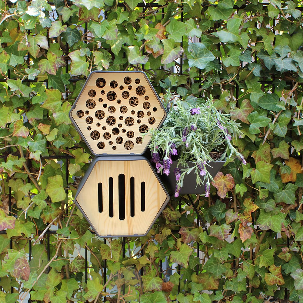 vlinderhuis en bijenhuis met plantenbak aan hek