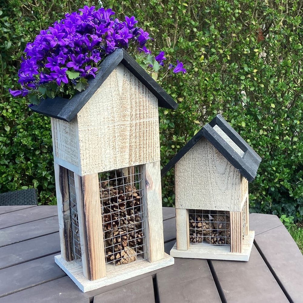 twee insectenhuisjes met plantenbakjes bovenop met paarse bloemetjes