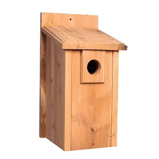 houten vogel huis met verdikte invliegopening