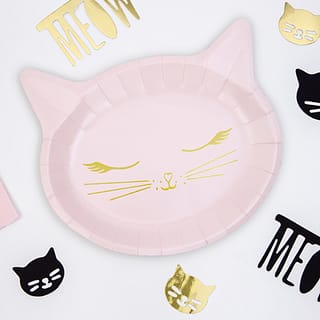 Bordjes en confetti in de vorm van een kat