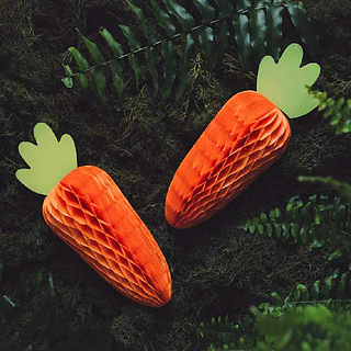 Twee honeycomb wortels in het oranje en lichtgroen liggen op donergroen mos