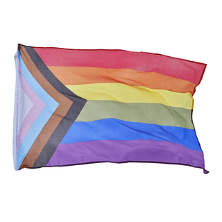 regenboog pride vlag LGBTQ+