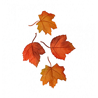 Stoffen herfstbladeren confetti in het bruin en oranje en donkerrood
