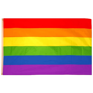 Regenboog vlag