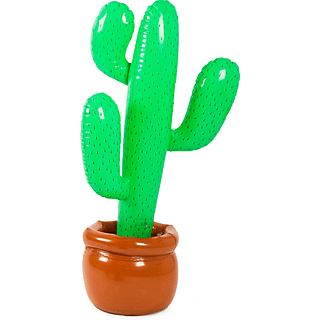 Groene cactus in een bruine pot
