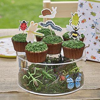 Cupcake toppers met insecten erop zoals een lieveheersbeestje, hommel en slak staan op een terrarium met mos en sprinkhanen