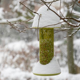 lichtgroene notensilo hangt aan tak in de sneeuw