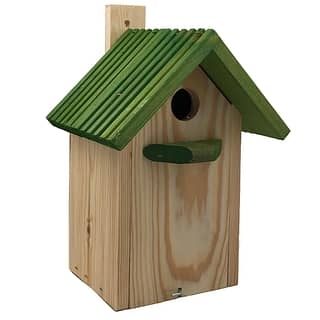 vogel huis met groen dak