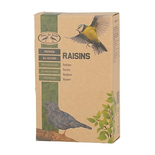 Kartonnen doosje met rozijnen voor vogels