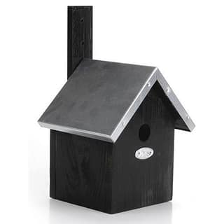zwart vogel huis met zinken dak