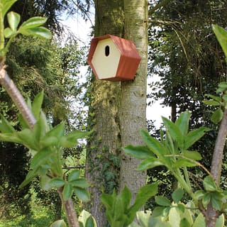huisje voor vogels met bruine kunststof buitenkant