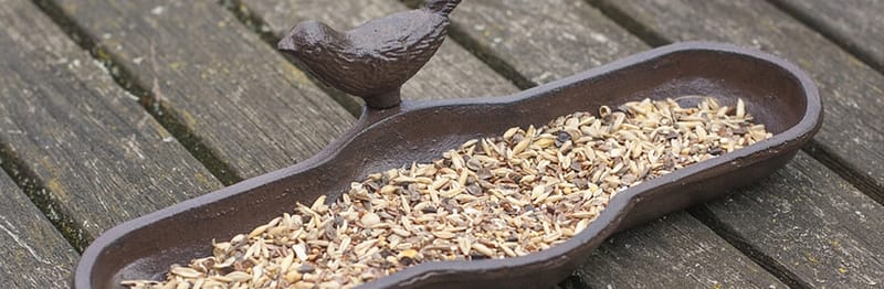 spellen idee plotseling Vogel voederbak kopen? (TIP! ) | Dé specialist in Vogelbaden
