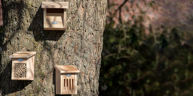 insectenkastjes en vogelhuis aan boom