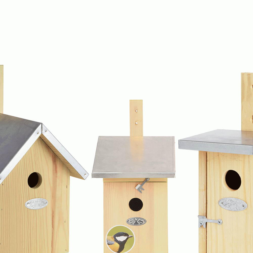 Aanbod Veronderstelling voor de helft Cadeaupakket - Vogelhuisjes Basic kopen? | Vogelhuisjes.nl