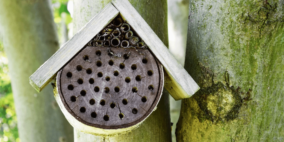 Zelf Een Bijenhotel Maken . | Zo Maak Je Het Zelf! Vogelhuisjes.Nl