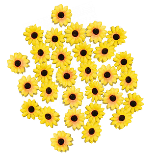 Gele zonnebloemen met een zwarte binnenkant