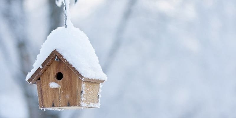 vogelhuis aan draad in de sneeuw