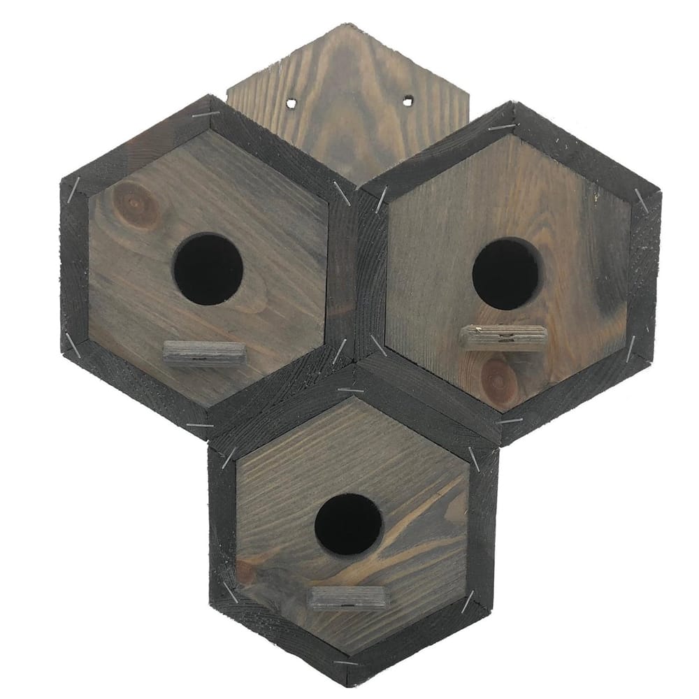 drie mussenholletjes van hout in de vorm van een hexagon