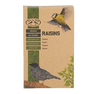 Kartonnen doosje met rozijnen voor vogels voor aanzicht