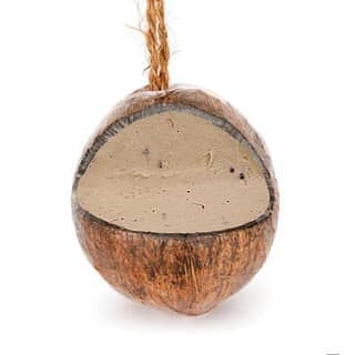 kokosnoot gevuld met vet en meelwormen voor vogels
